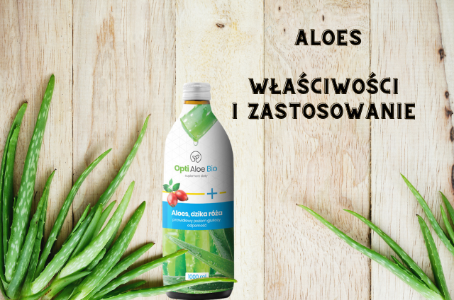 Aloes — właściwości i zastosowanie niezwykłej roślin