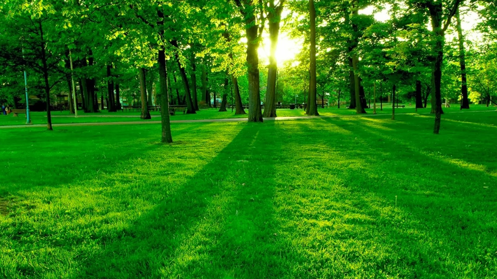 Startuje Akademia Natur Day
