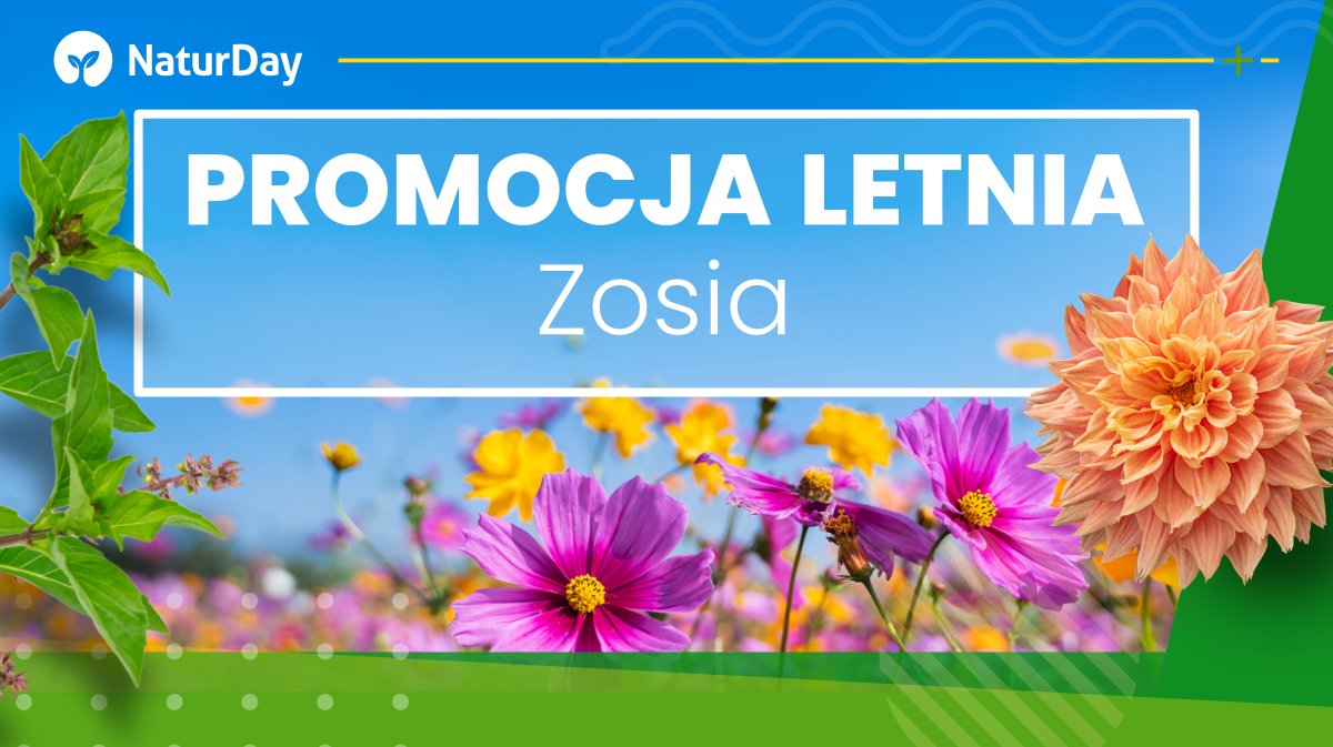 Promocja letnia