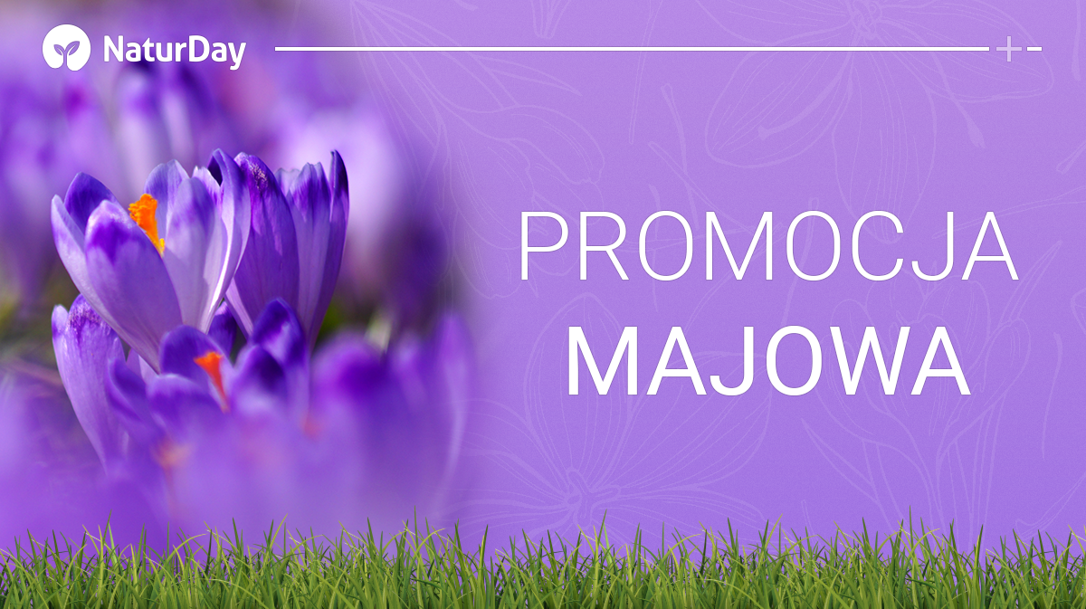 PROMOCJA MAJOWA